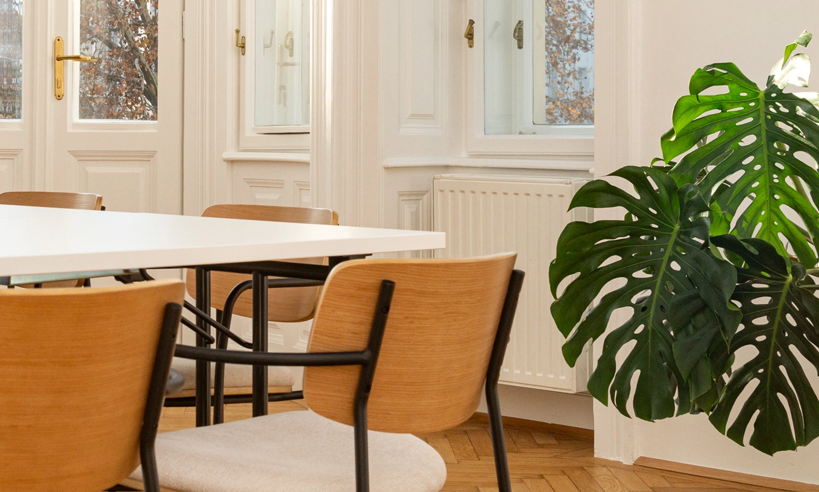 Innenaufnahme des malthus-Büros